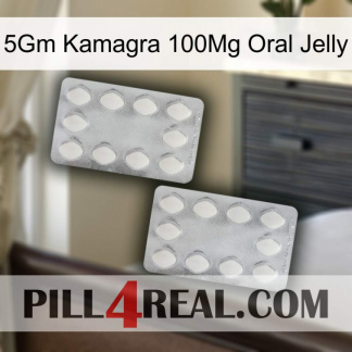 5Gm Kamagra 100Mg Oral Jelly 17